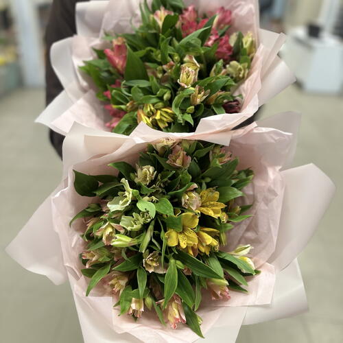 review-photo-before