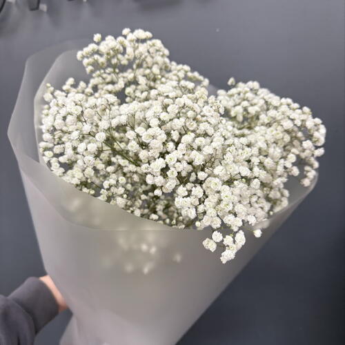 review-photo-before