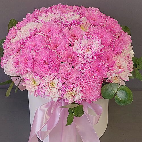 review-photo-before