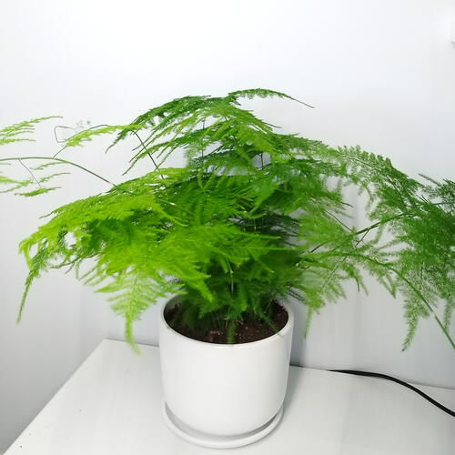 review-photo-before