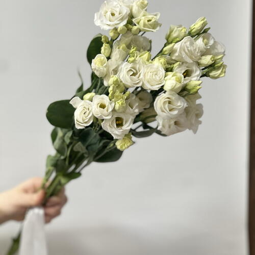 review-photo-before