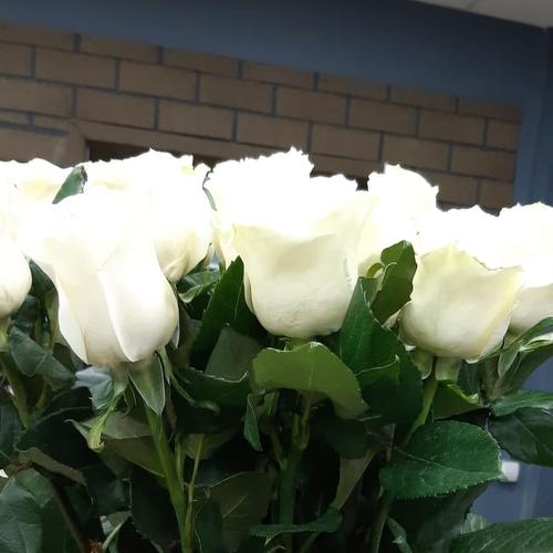 review-photo-before
