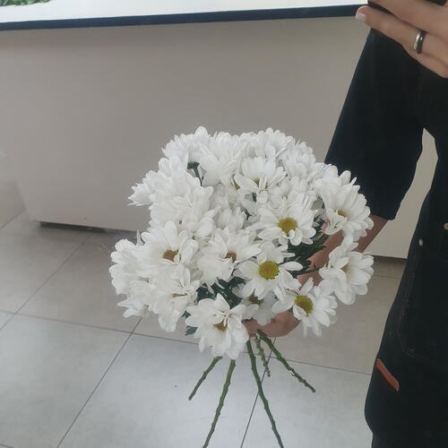 review-photo-before