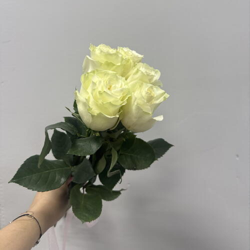review-photo-before