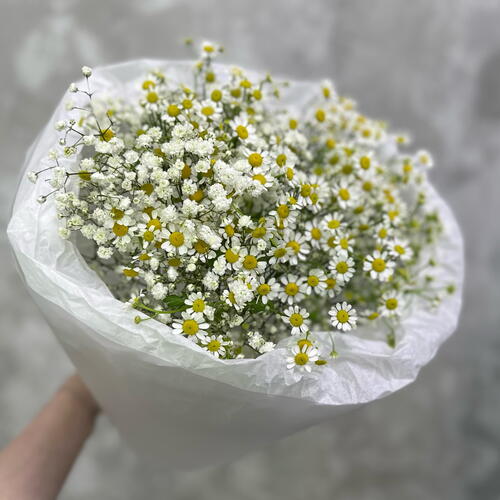 review-photo-before