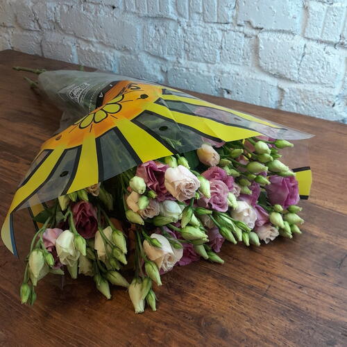 review-photo-before