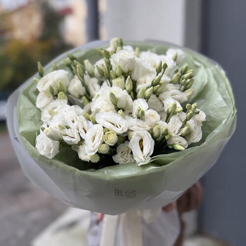 review-photo-before
