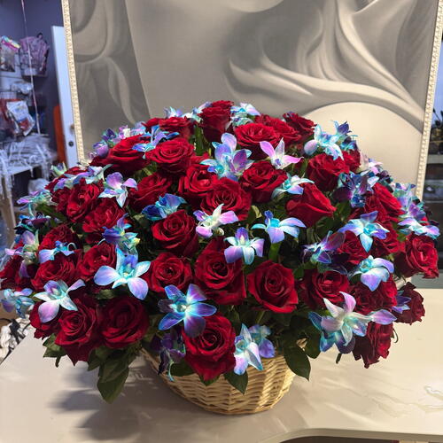 review-photo-before