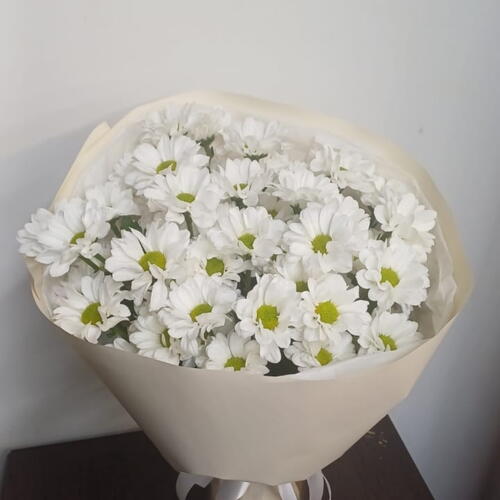 review-photo-before