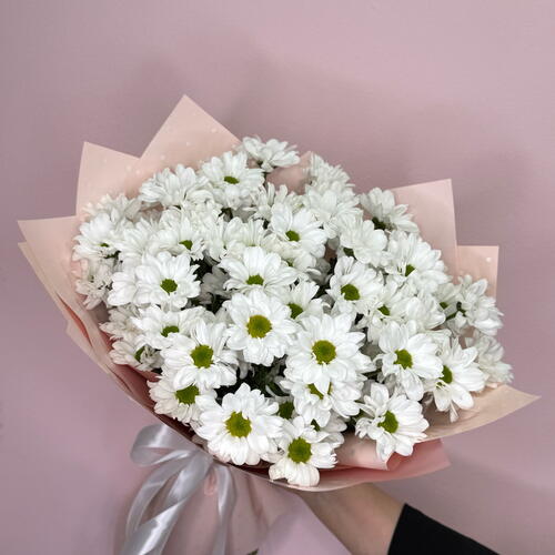 review-photo-before