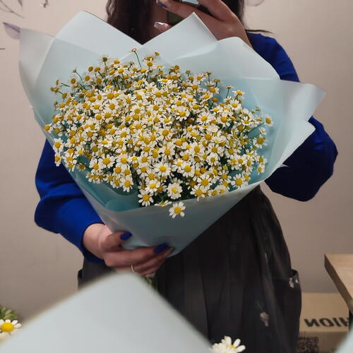 review-photo-before