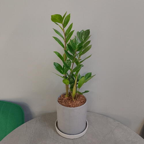 review-photo-before