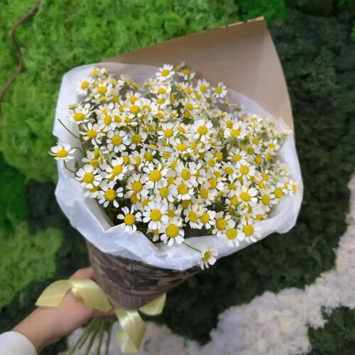 review-photo-before