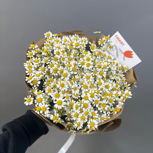 review-photo-before