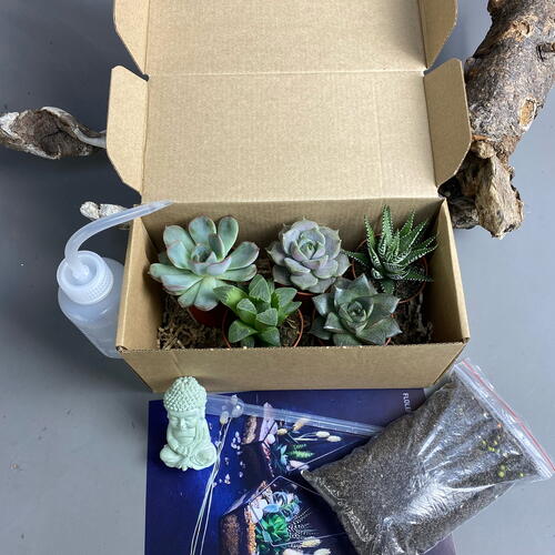 review-photo-before