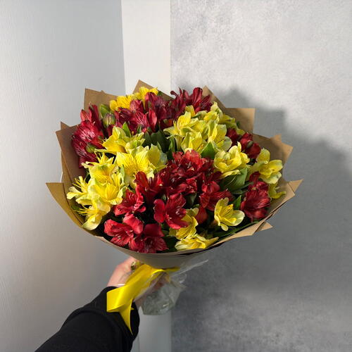 review-photo-before