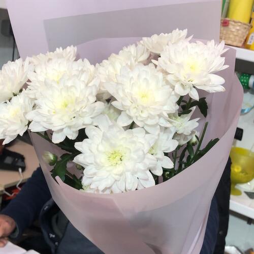 review-photo-before