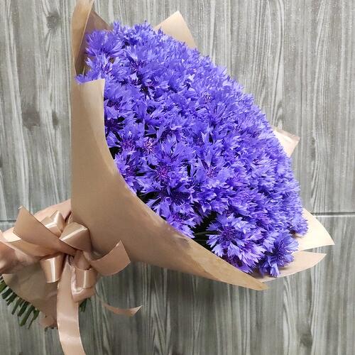 review-photo-before