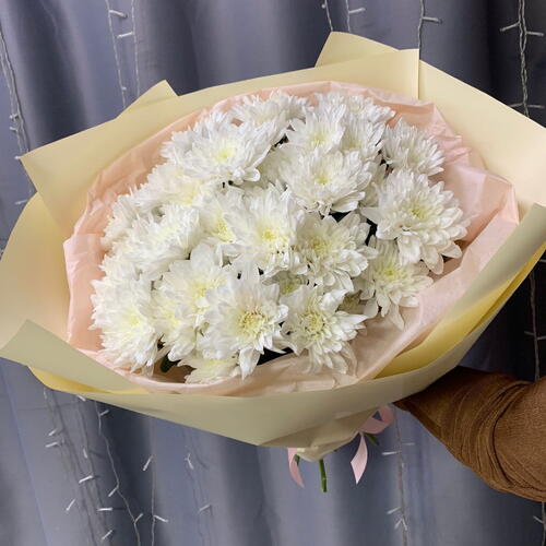 review-photo-before
