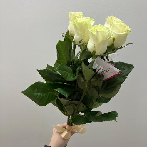 review-photo-before