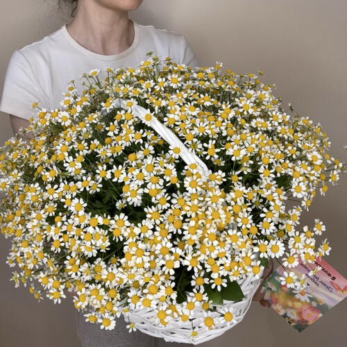 review-photo-before