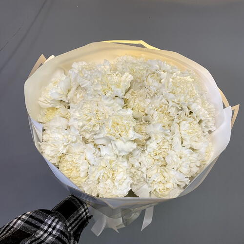 review-photo-before