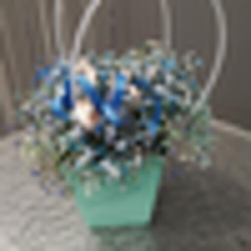 review-photo-before