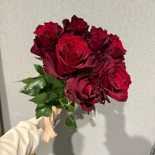 review-photo-before