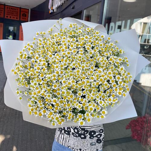 review-photo-before