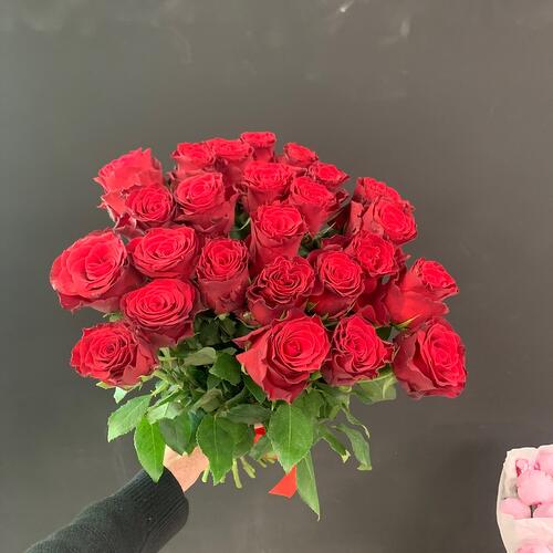 review-photo-before