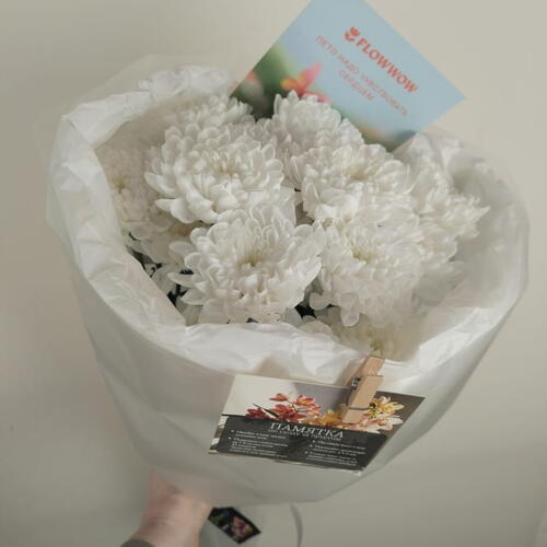 review-photo-before