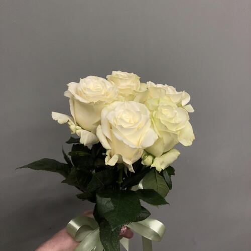 review-photo-before