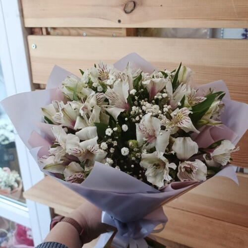 review-photo-before