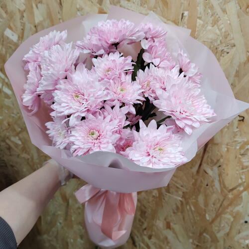 review-photo-before