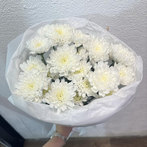 review-photo-before