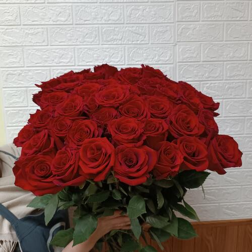 review-photo-before
