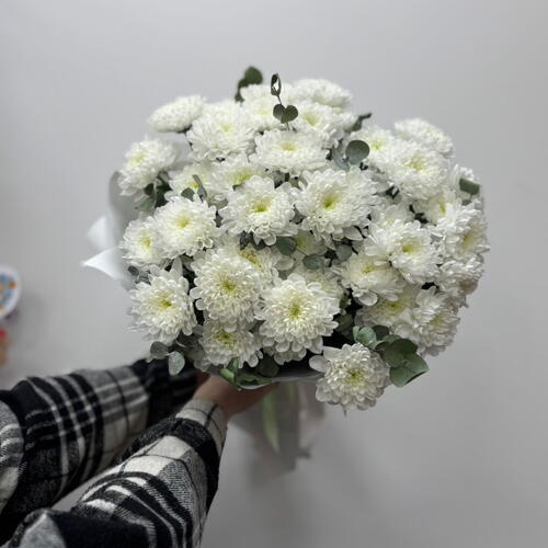 review-photo-before
