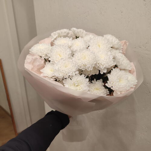 review-photo-before