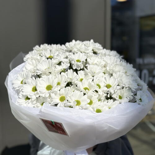 review-photo-before