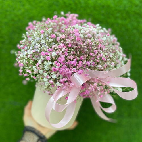 review-photo-before