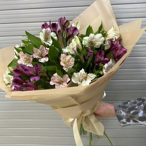 review-photo-before