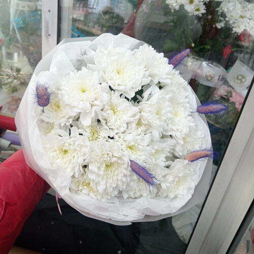 review-photo-before