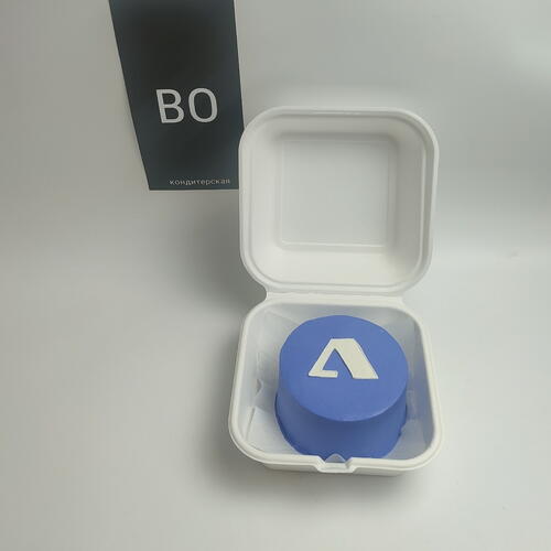 review-photo-before