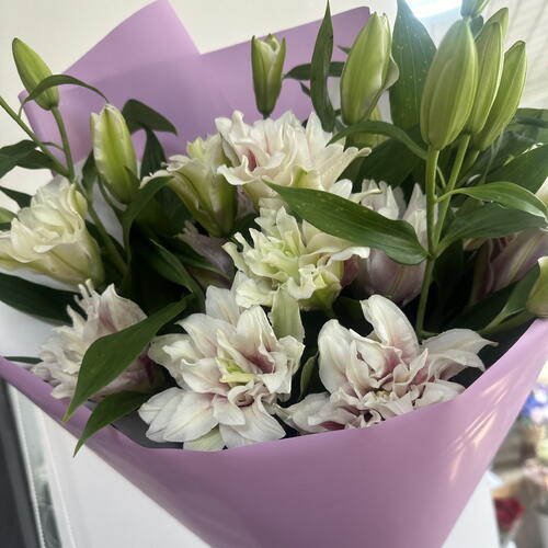 review-photo-before