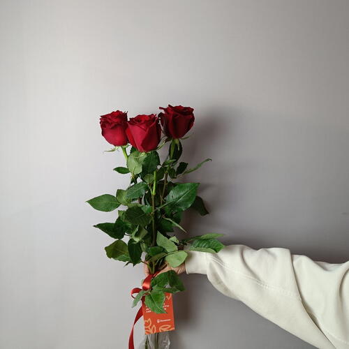 review-photo-before