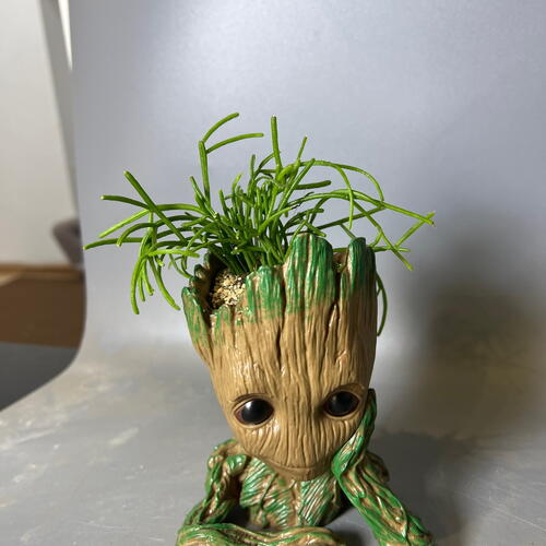 review-photo-before