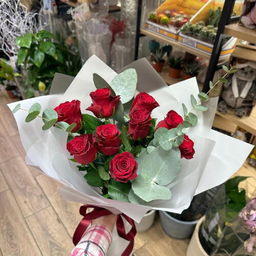 review-photo-before