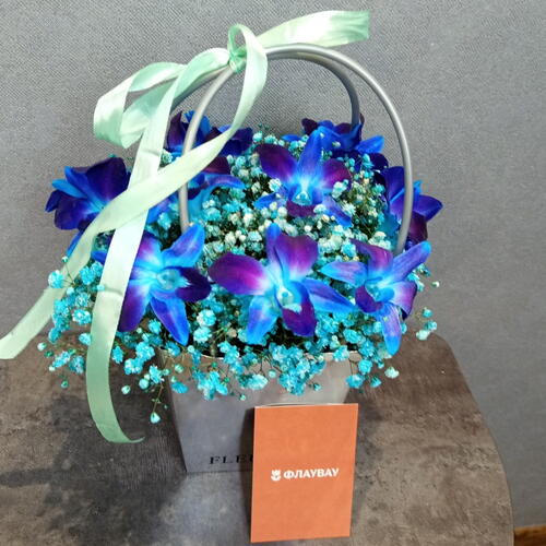 review-photo-before